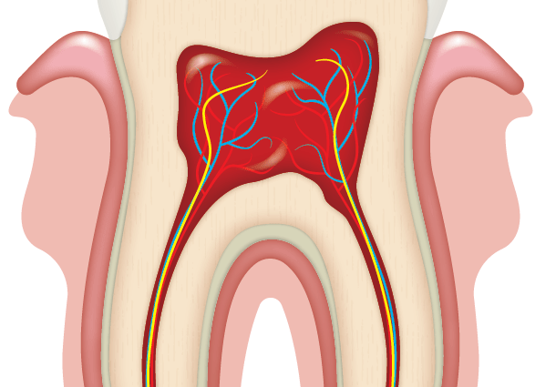 Caries is fought from the first tooth