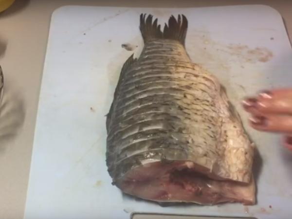 Carp in the oven in foil: whole, slices, steaks, fillets