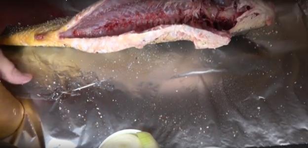 Carp in the oven in foil: whole, slices, steaks, fillets