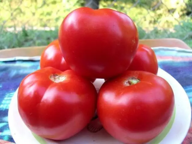 Carpal varieties of tomatoes for greenhouses 