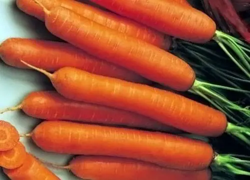 Carrot Baby F1