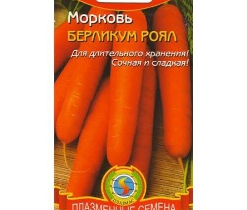 Carrot Berlikum Royal