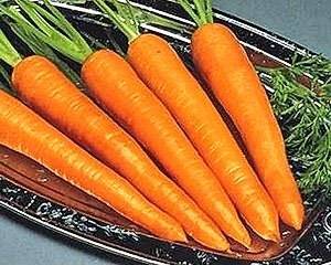 Carrot Emperor