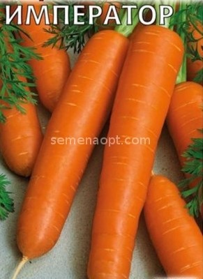 Carrot Emperor