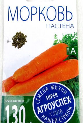 Carrot Nastena