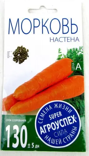 Carrot Nastena