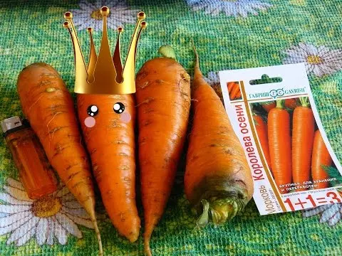 Carrot Queen of Autumn