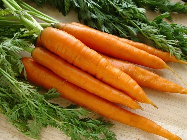 Carrot varieties