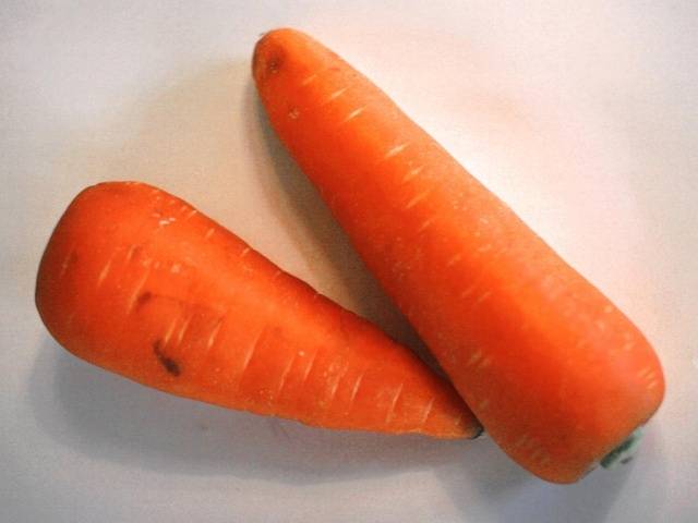 Carrot varieties