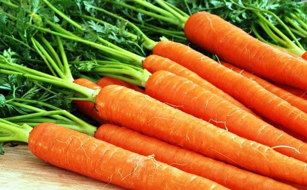 Carrot varieties