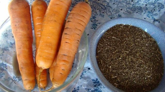 Carrot varieties