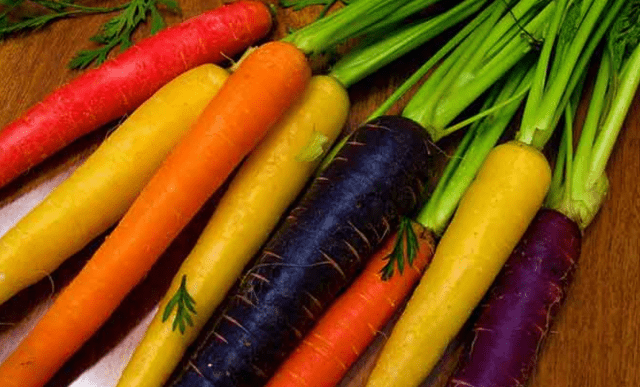 Carrot varieties