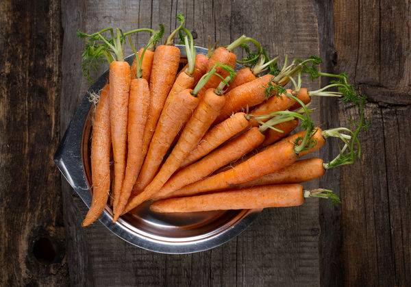 Carrot varieties