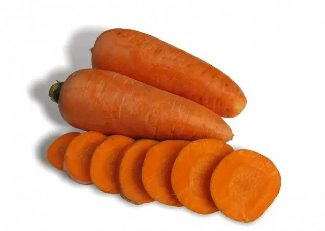 Carrot varieties with a blunt end