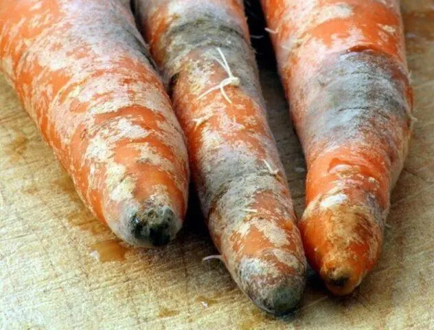 Carrot variety Childrens sweetness: description, photos and reviews