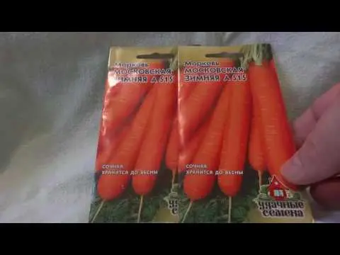 Carrot variety Moscow winter A 515: description, photos and reviews