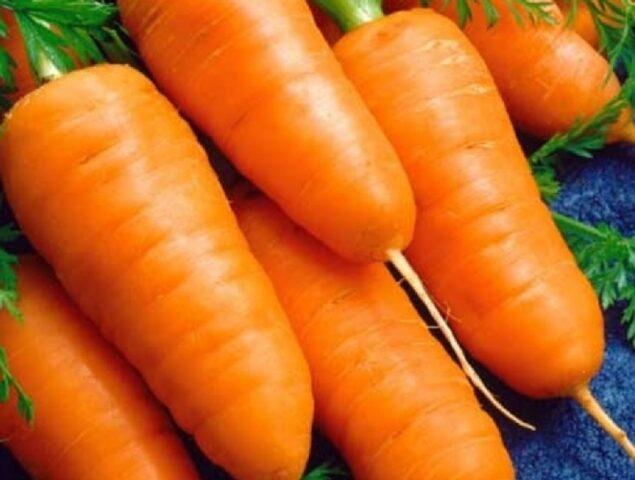 Carrot variety Shantane: description, photos and reviews