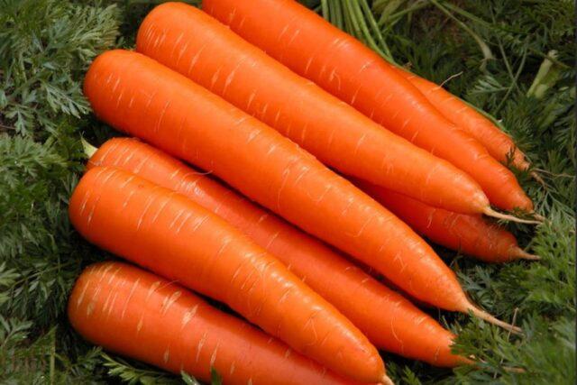 Carrot variety Tushon: description, photos and reviews