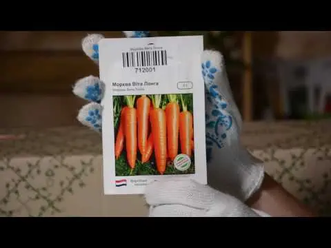 Carrot Vita Longa