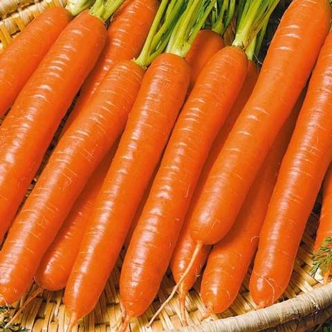 Carrot Vitamin 6