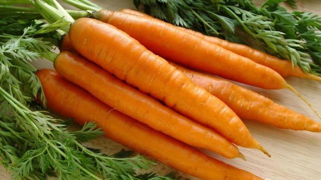 Carrots: varieties for Central Our Country