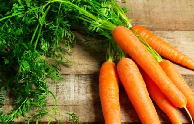 Carrots: varieties for Central Our Country