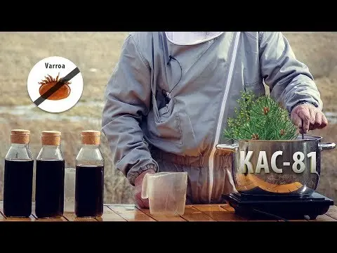 CAS 81 for bees