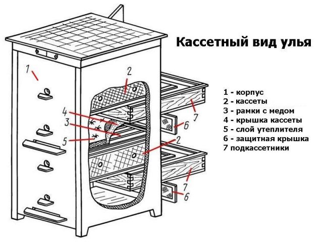 Cassette pavilion for bees: how to do it yourself + drawings