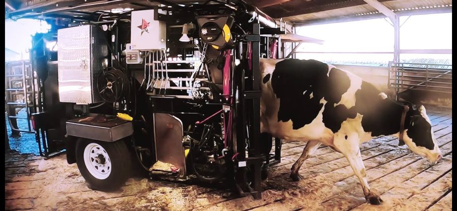 Cattle hoof trimming machine