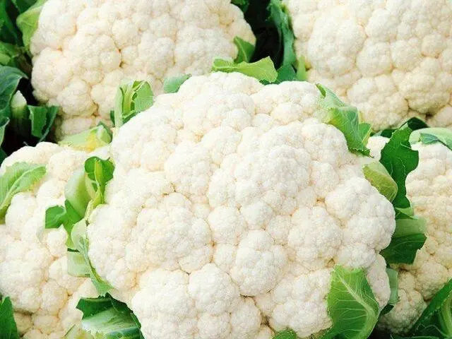 Cauliflower Movir 74: variety description, how to plant, growing from seeds