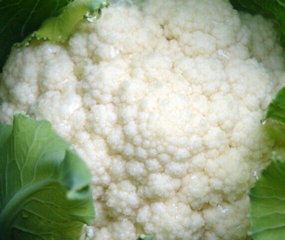 Cauliflower Movir 74: variety description, how to plant, growing from seeds