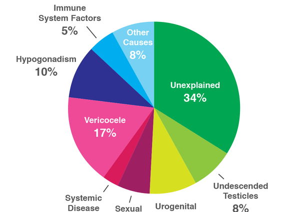 Causes of male infertility &#8211; what could they be?