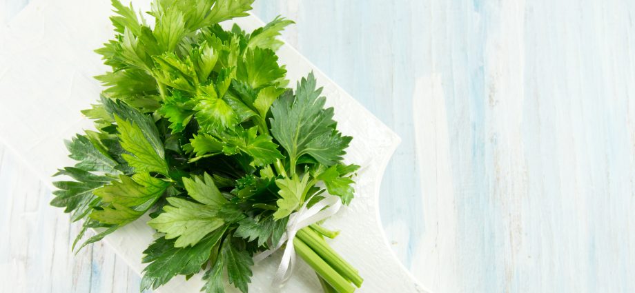 Celery and parsley in the treatment of breast cancer