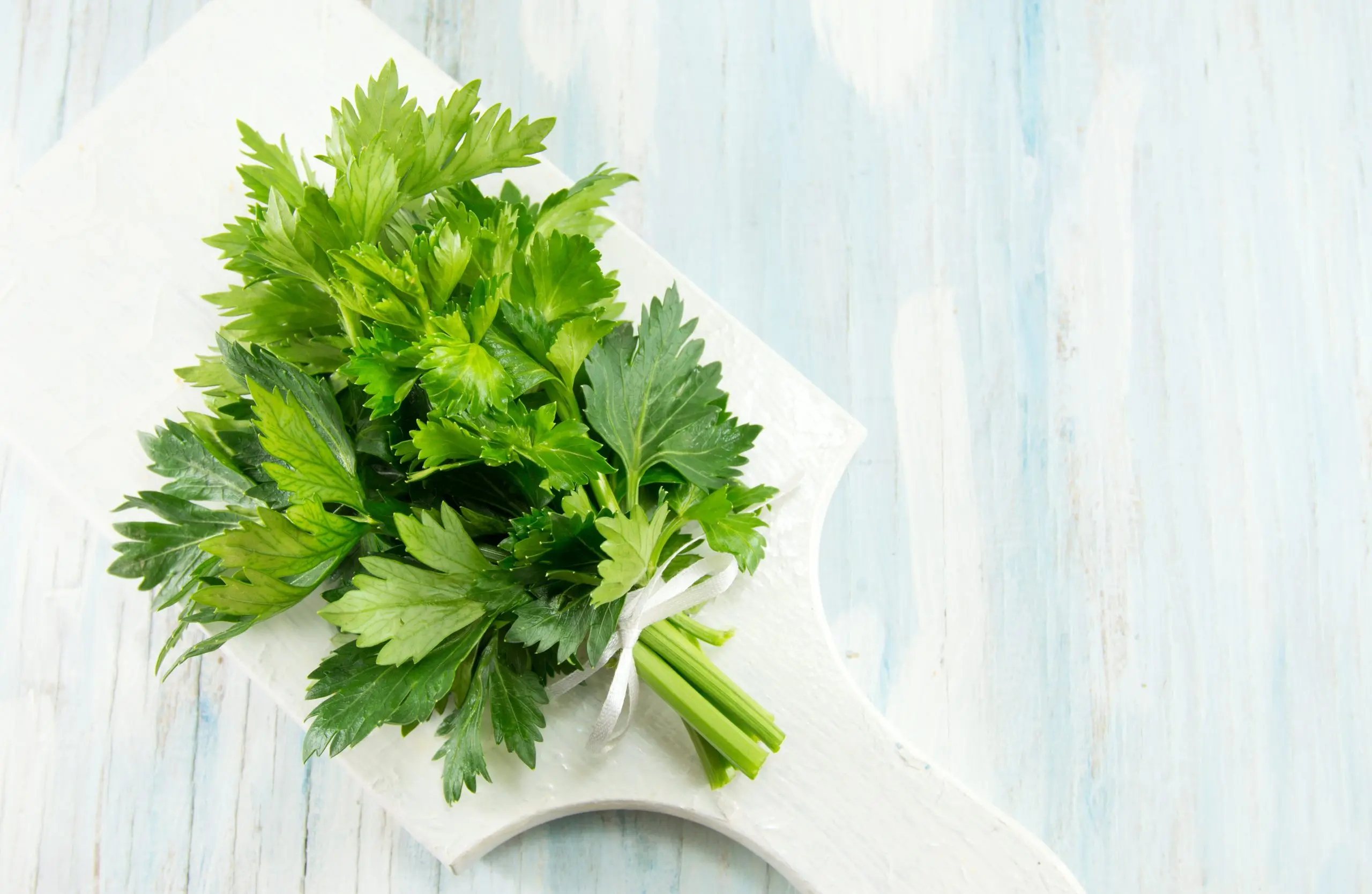 Celery and parsley in the treatment of breast cancer