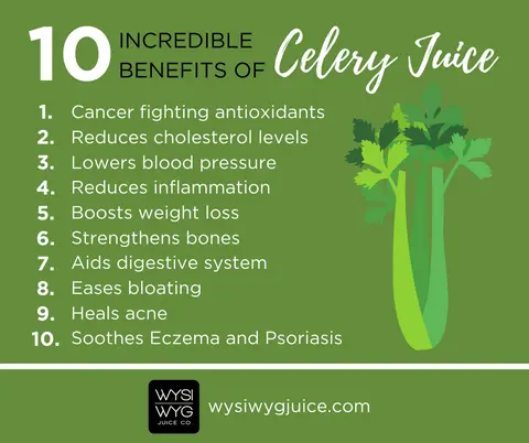 Celery juice: useful properties and contraindications