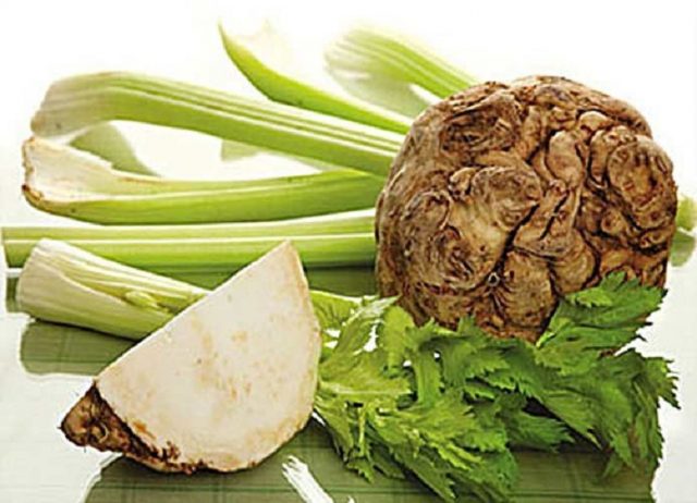 Celery root: cooking recipes, what is useful