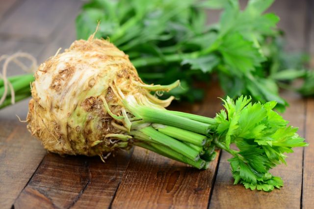 Celery root: cooking recipes, what is useful