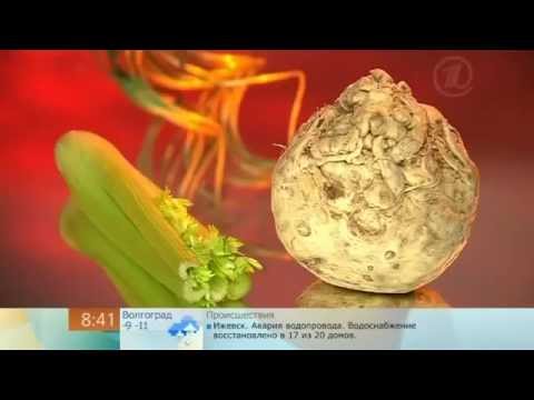 Celery root: cooking recipes, what is useful