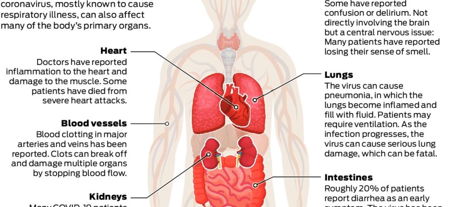 Cells &#8220;explode&#8221; and damage organs. A surprising side effect of COVID-19