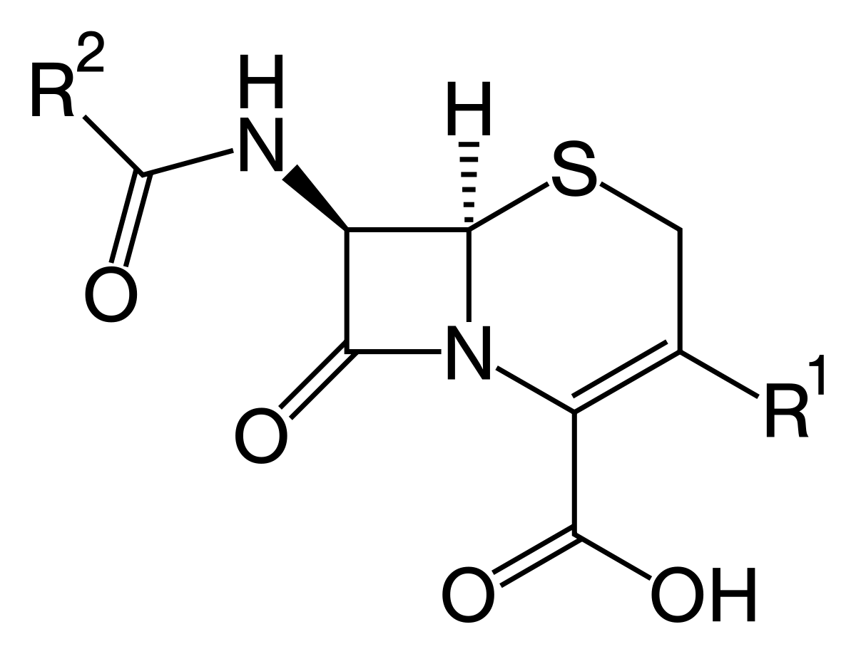 Cephalosporins