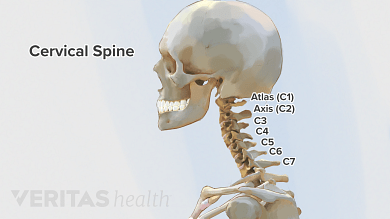 Cervical spine &#8211; ailments and treatment. Cervical spine and headaches