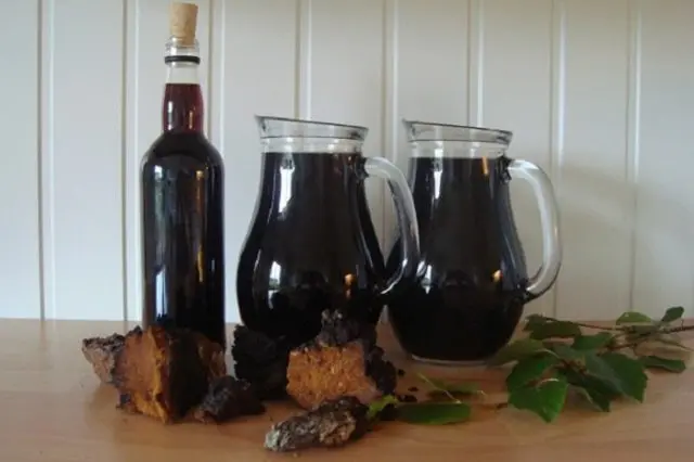 Chaga for diabetes: recipes and reviews