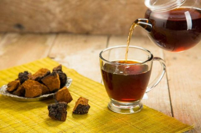 Chaga mushroom: how to brew at home for treatment and prevention