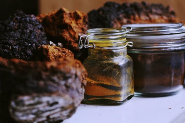 Chaga tincture: instructions for use, recipes, reviews