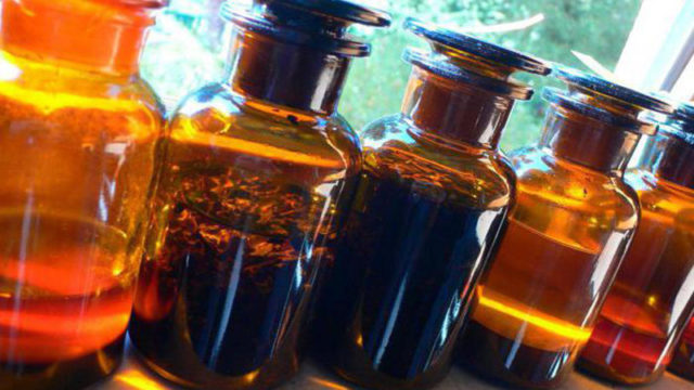 Chaga tincture: instructions for use, recipes, reviews