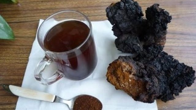 Chaga treatment for oncology: reviews, useful properties, recipes for use