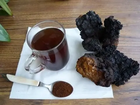 Chaga treatment for oncology: reviews, useful properties, recipes for use