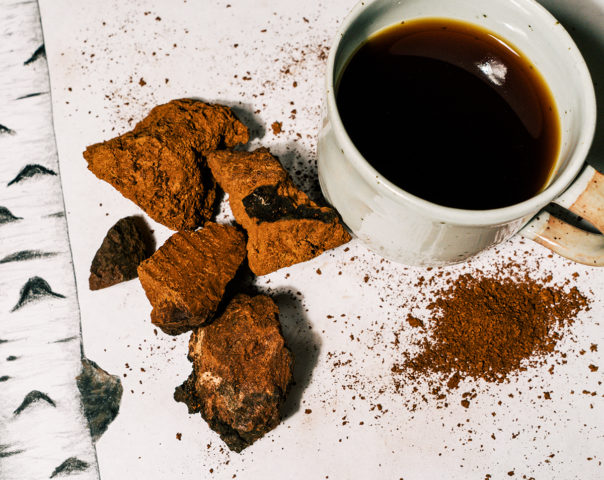 Chaga: what helps, what diseases, use and contraindications