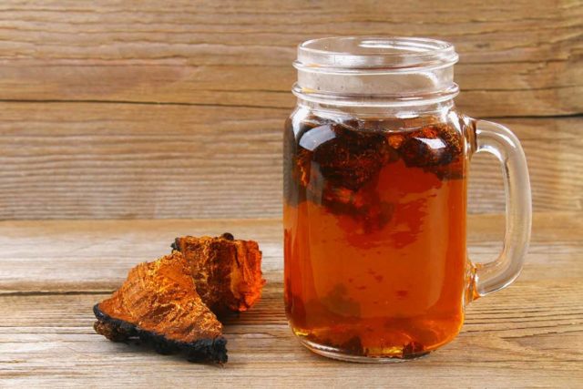 Chaga: what helps, what diseases, use and contraindications