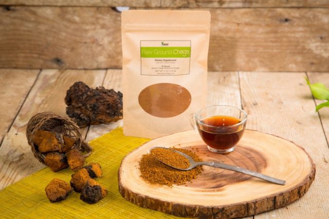 Chaga: what helps, what diseases, use and contraindications